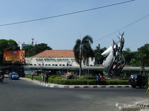 Surabaya ZOO, autor: Sakurai Midori